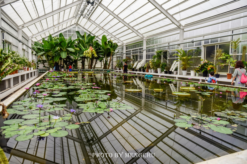 九州别府地狱温泉,别府八大地狱温泉攻略
