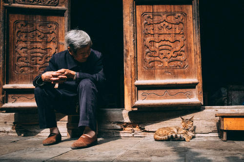 比较适合老年人养的宠物,陪伴老人养什么宠物比较适合