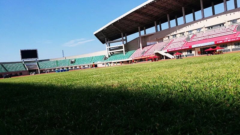 临泉县体育中心图片,临泉县体育中心综合体育馆