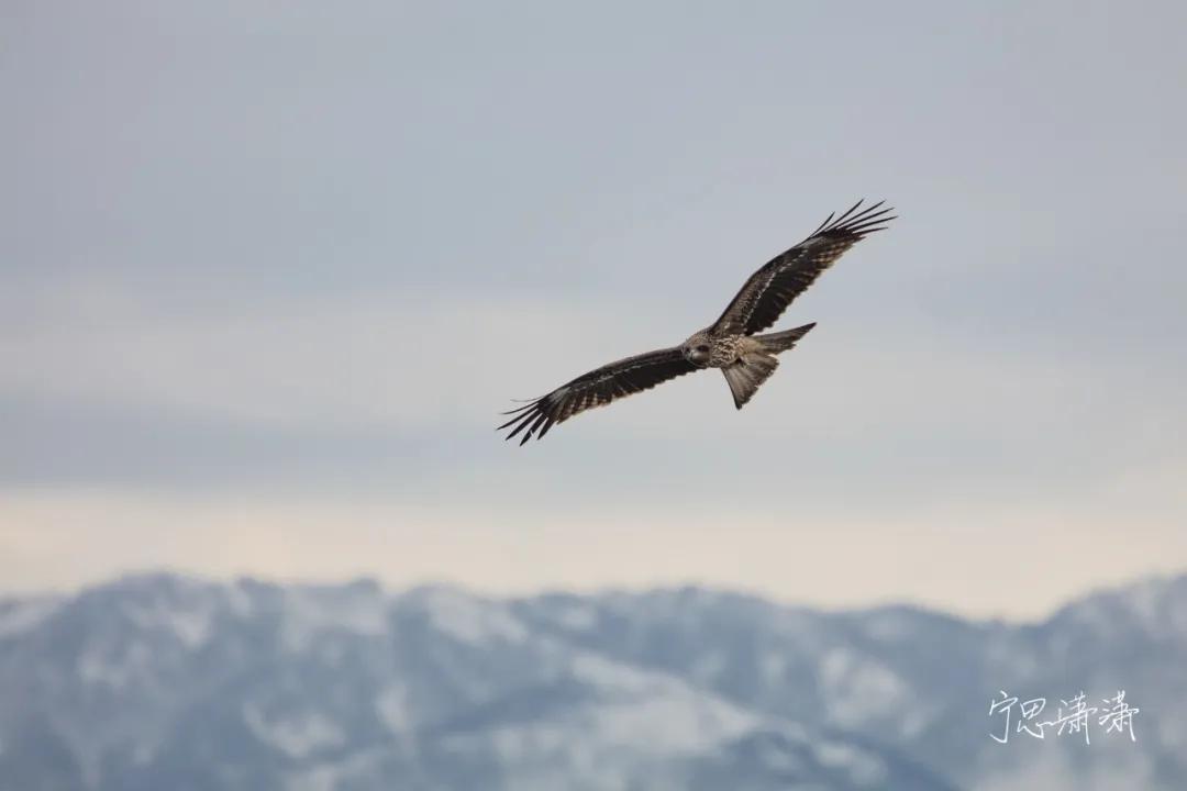 “5”缘有缘我与摄影的故事也是我与佳能“5”的故事