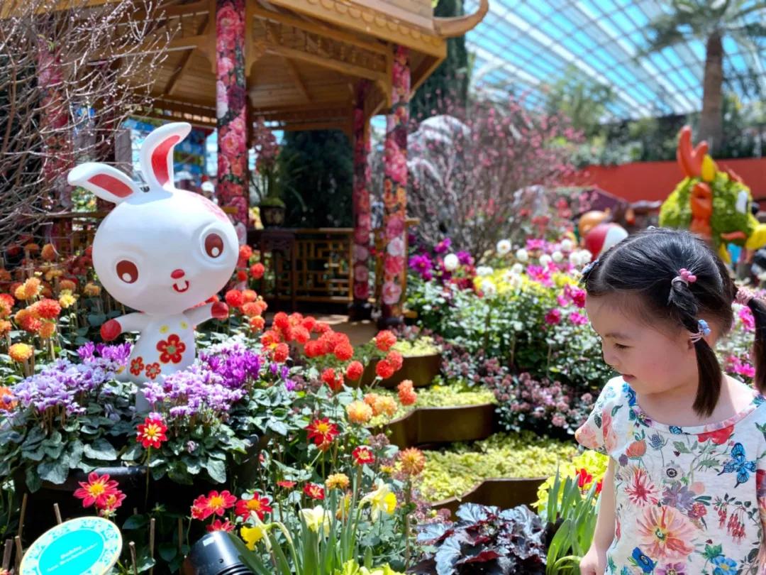 疫情期间去埃及旅游的亲历,疫情期间从深圳直飞洛杉矶体验