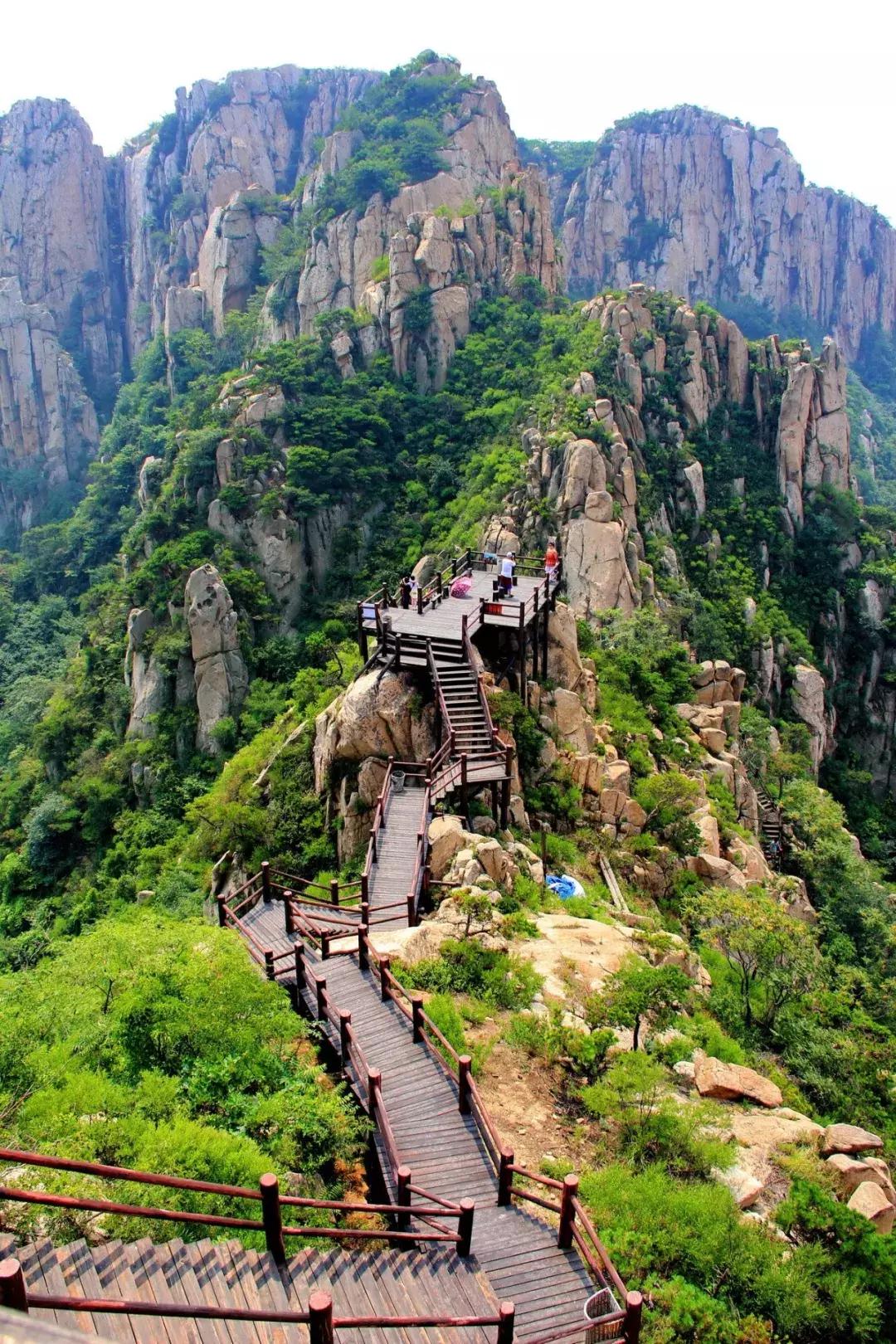 金秋采摘正当时!山东这十种田间美味错过再等一年!