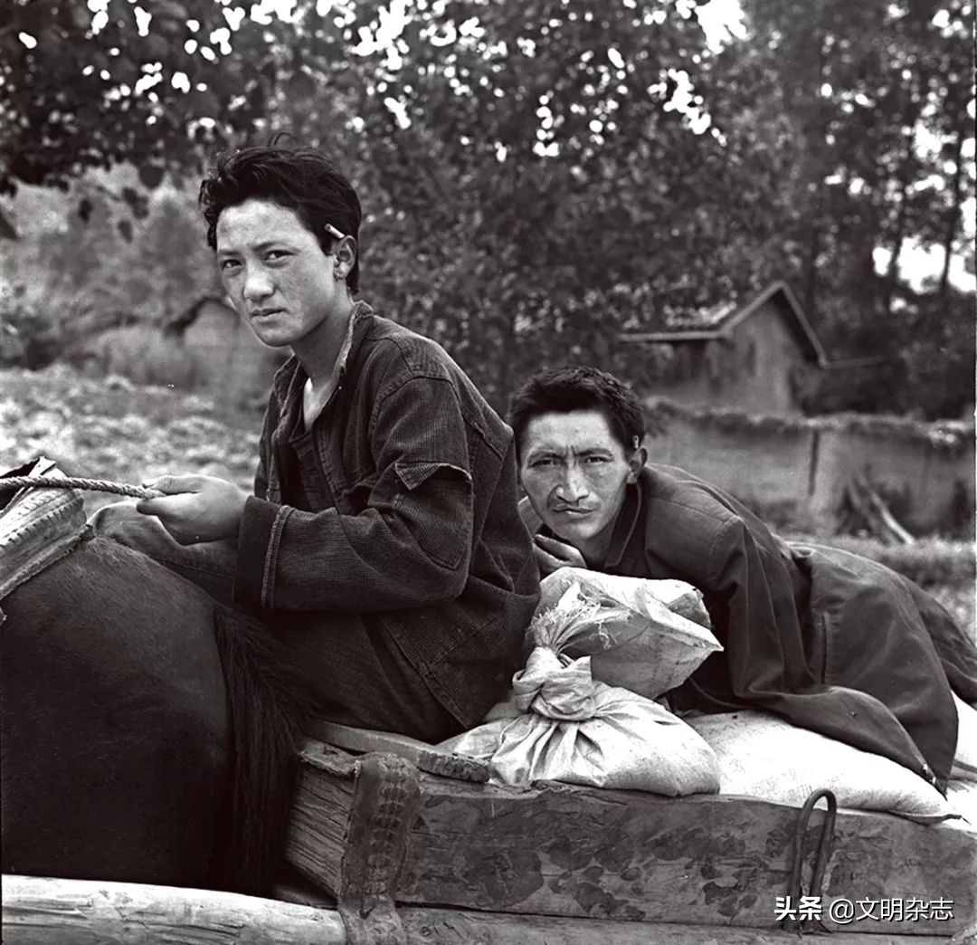 荒诞而无法预测的影像人生:他的思想高过了山