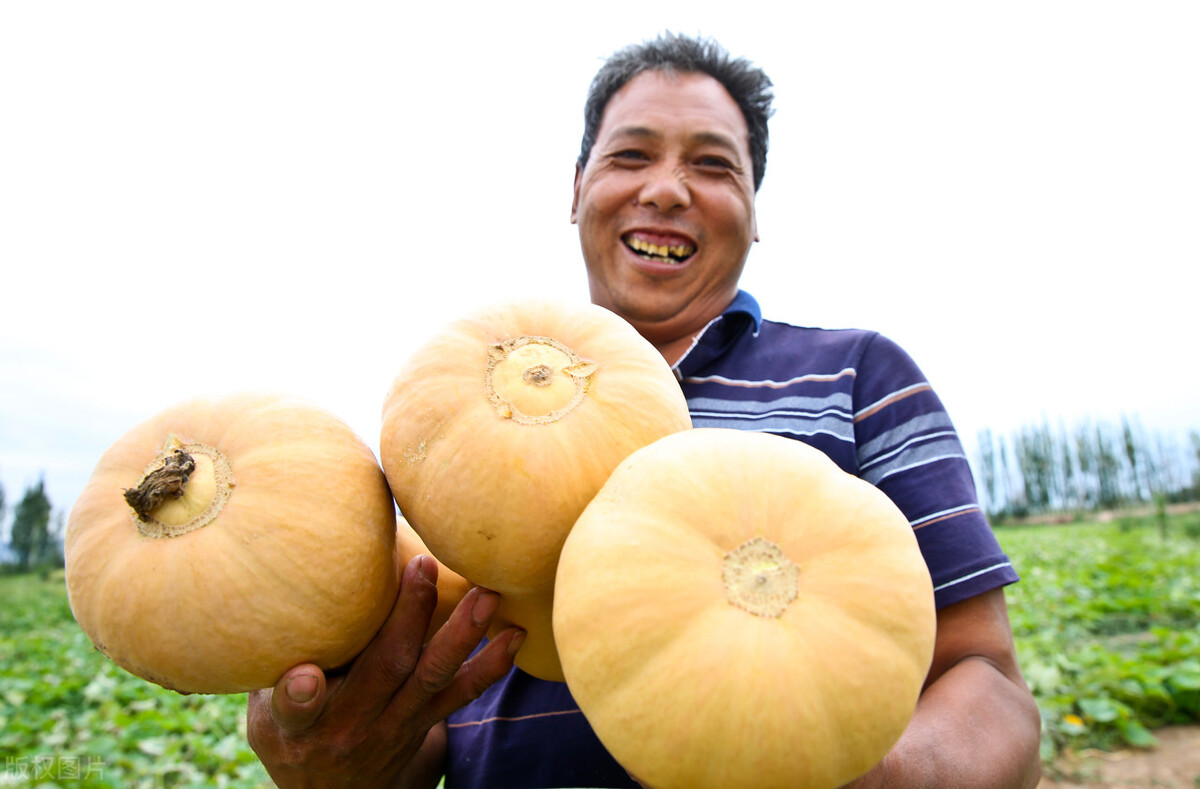 网购敢卖假农药吗,网购农药一百单