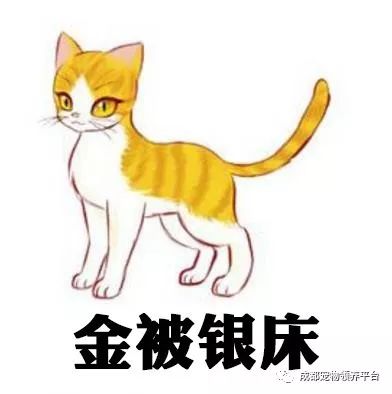 谁说土猫无名猫?快来围观古代猫谱,你家有没有镇宅神兽!