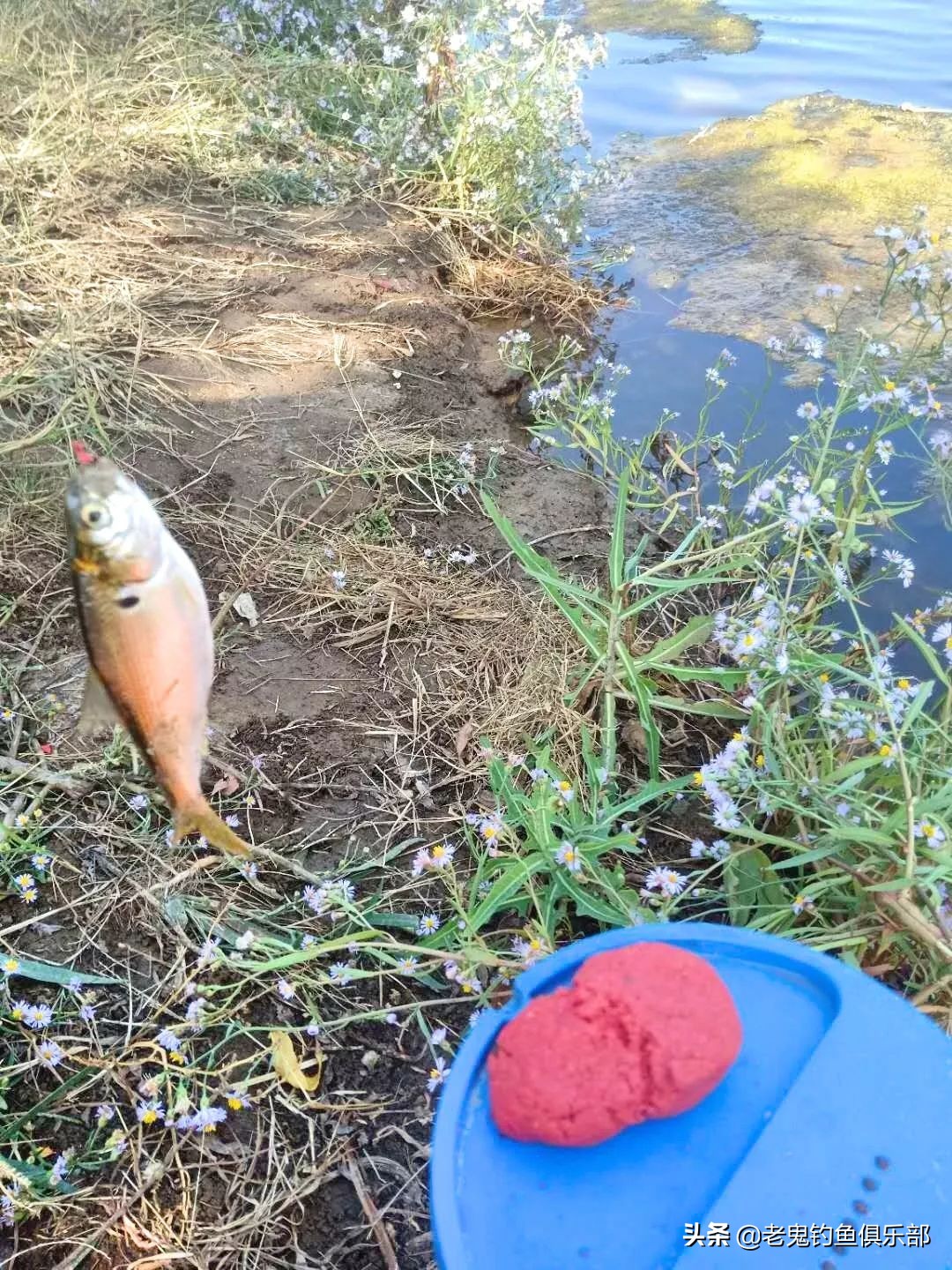 国庆节海边度假，单开九一八连钓两个半天