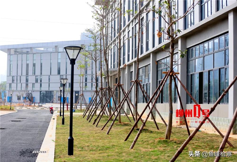 柳州市柳南区体育园什么时候开放,柳州最新体育公园消息