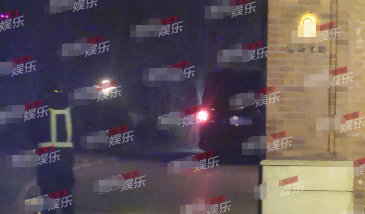 王菲谢霆锋再曝甜蜜照,王菲谢霆锋高调秀恩爱久违的同框