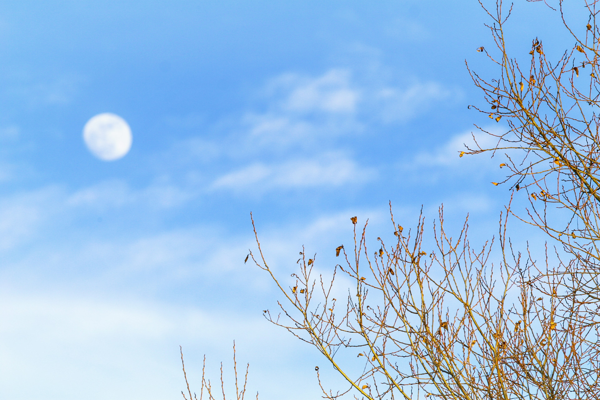 女诗经男楚辞全文,女诗经男楚辞的名字有哪些