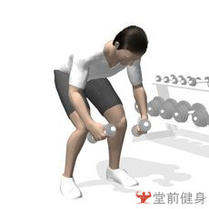 获取一周瘦4斤新手健身计划,初级力量训练计划一周表