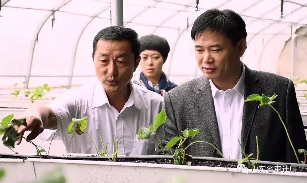 这一年收获颇丰,这一年收获了太多的温暖与感动