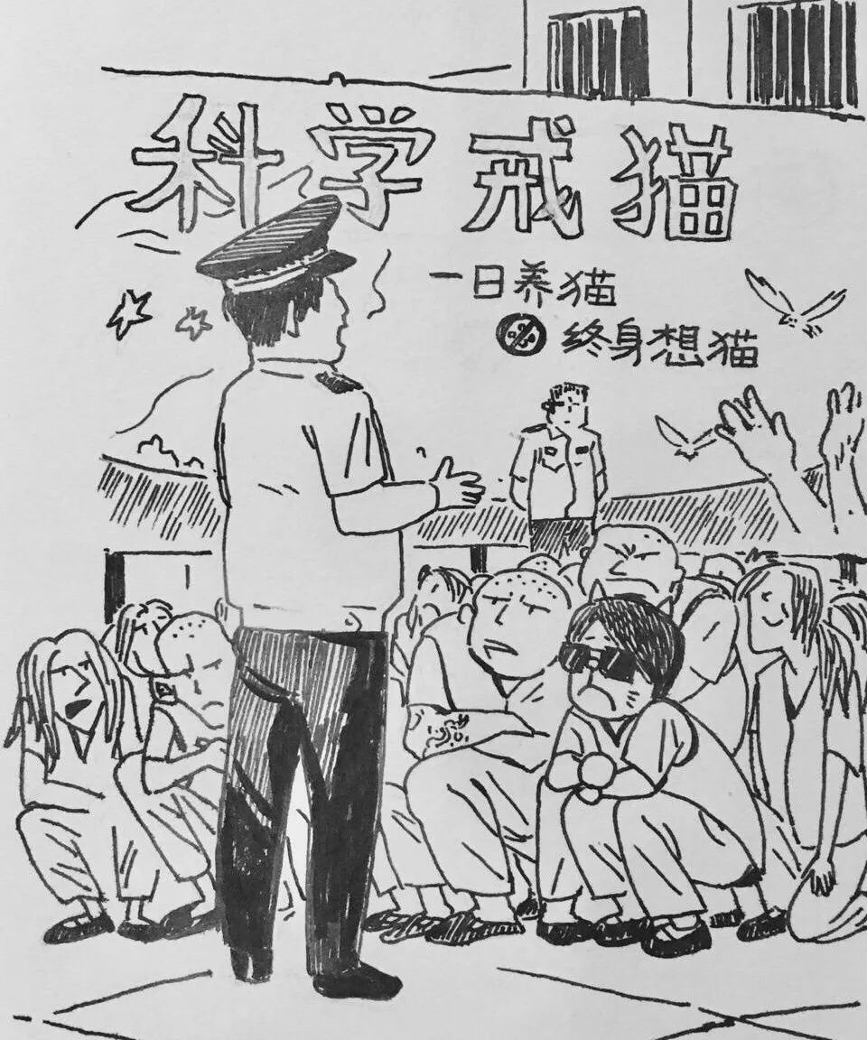 丑猫大赛视频完整版,2020年丑猫大赛看看丑到你了没