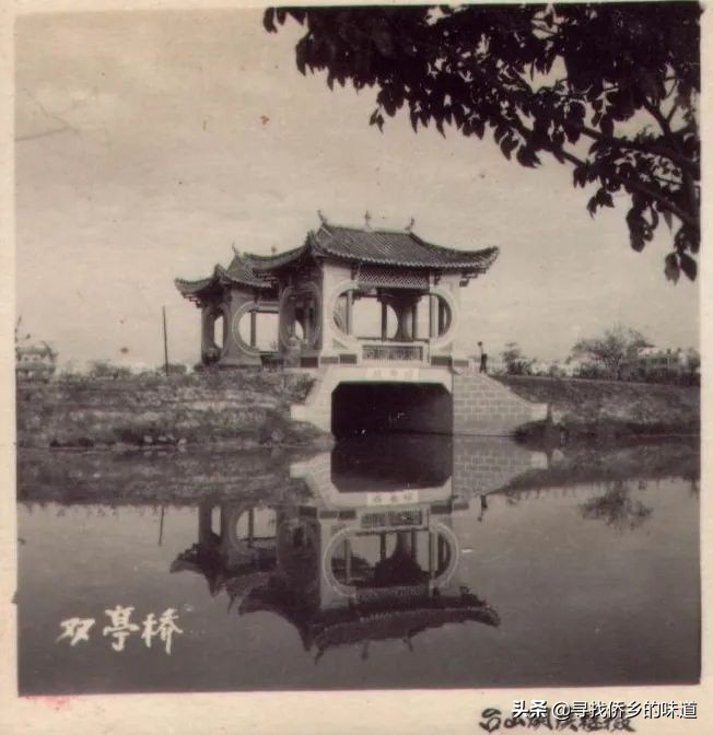 这个网红记录片，告诉你台山改革前不为人知的一面