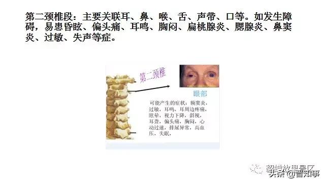 忻州薛氏正骨,忻州古城傅山苑