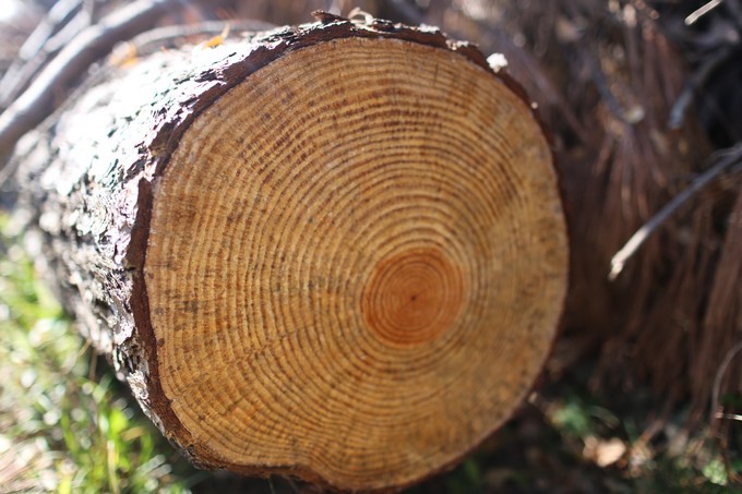 日本京都枫叶季旅游攻略,日本关西赏枫旅游攻略