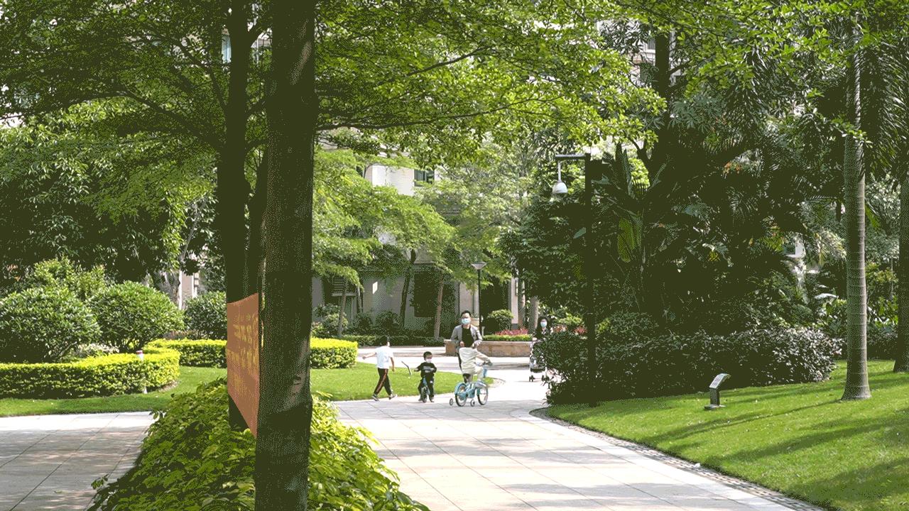 服务业的税率一般是多少,服务业税率多少最合理