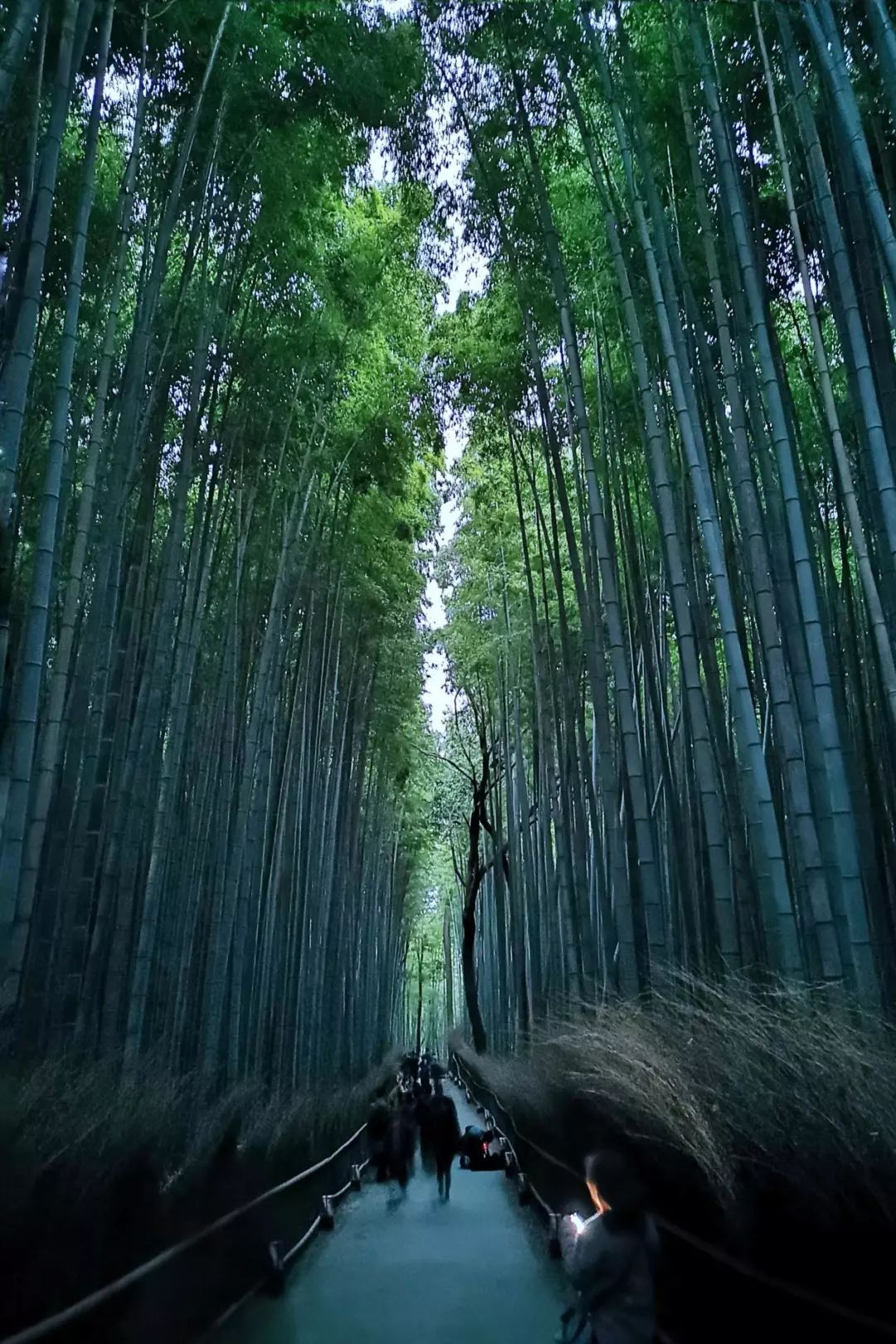 岚山哪有好玩的,日照岚山区值得去吗