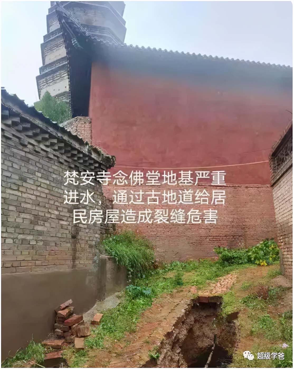 带你走进山西洪洞大槐树,山西洪洞大槐树背后的故事