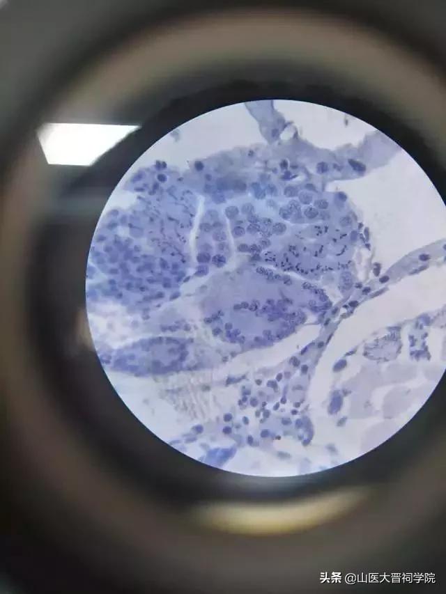 想要成为一名医生需要考多少证,想要做一个医生必须具备哪些