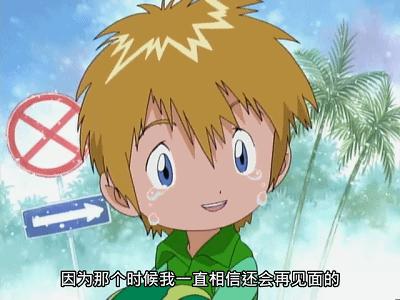 数码宝贝20周年特别篇,数码宝贝20周年的资源有吗