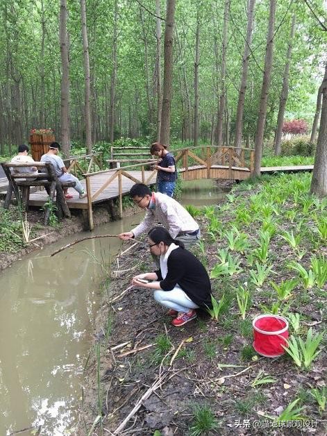 低成本美丽乡村造景,低成本打造乡村旅游