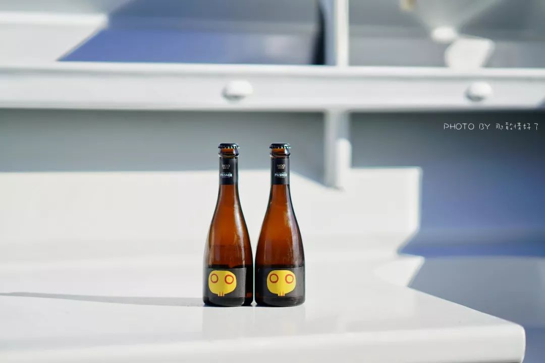 去哪里旅游可以看南极企鹅,旅游攻略南极看企鹅