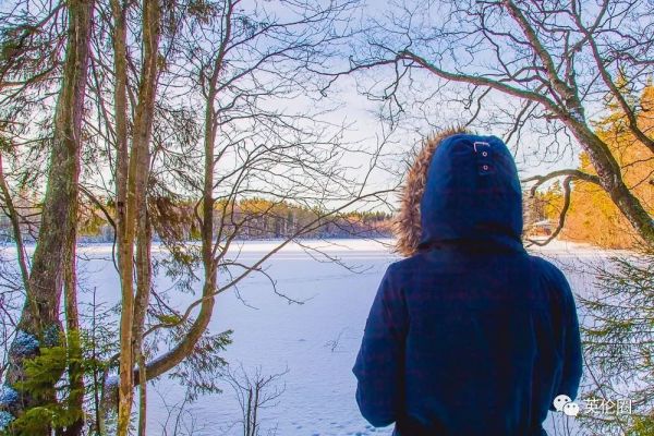 全球幸福指数排名是哪个国家,2023年全球幸福指数前十国家