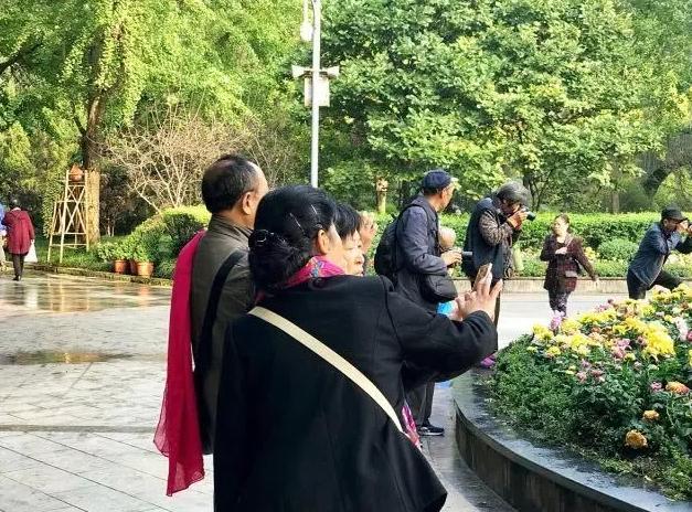 成都的耍家，一代有一代的主场