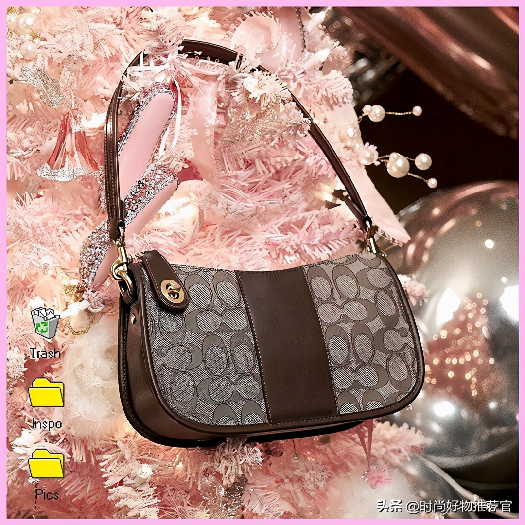 一周内爆款包包,单肩男包2019年冬季蔻驰