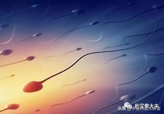 验精报告单怎么看才算正常,精子常规检测报告单怎么看