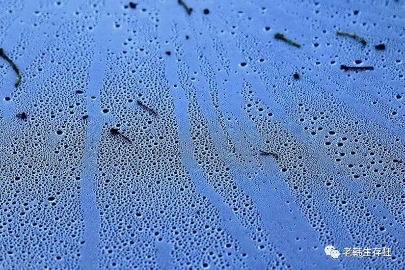 沙漠求生取水技巧,生存狂逃生技巧