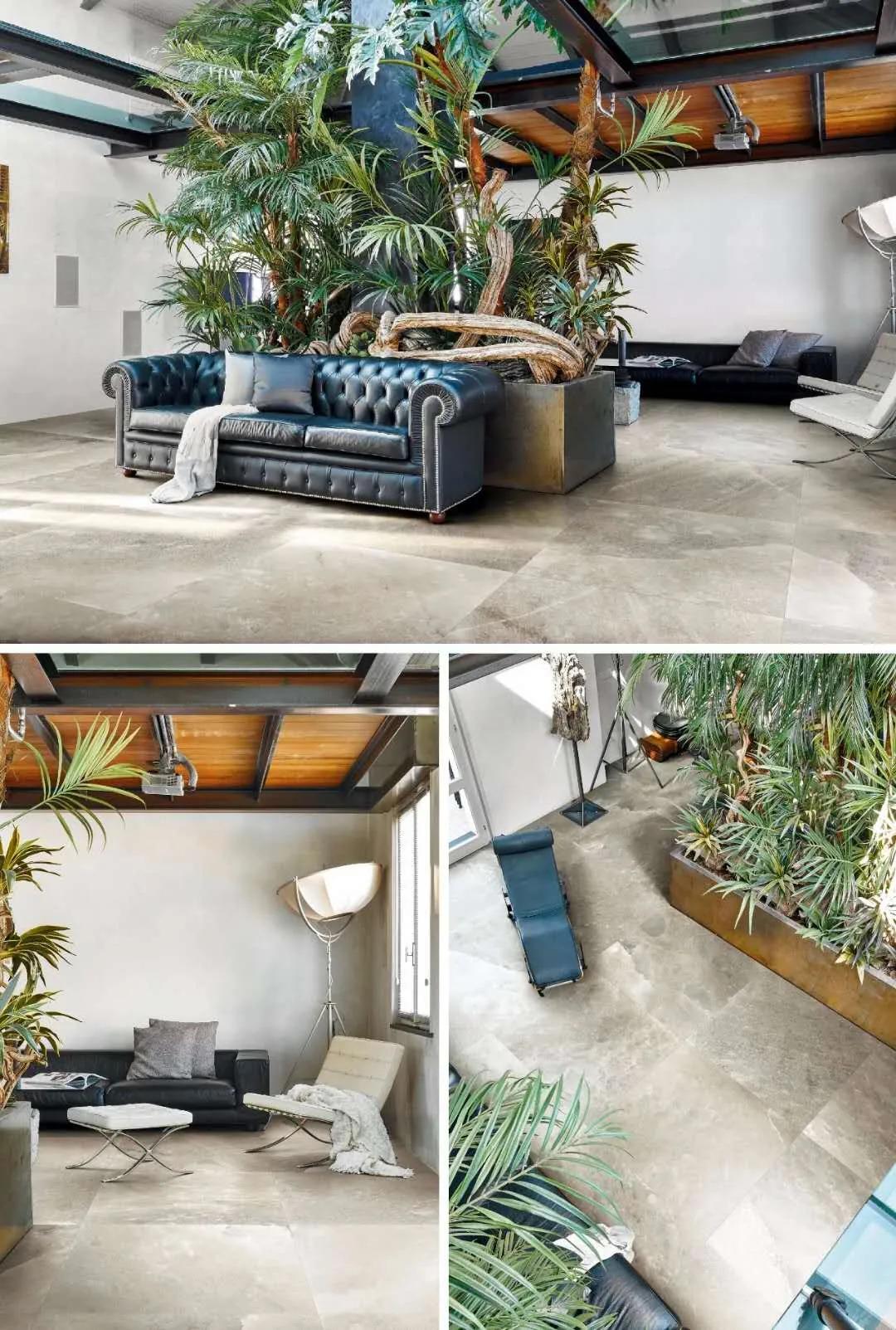 巡回|原装进口馆-DPI