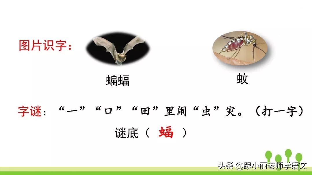 语文思维导图四年级上蝙蝠和雷达,人教版四年级上册蝙蝠和雷达朗读
