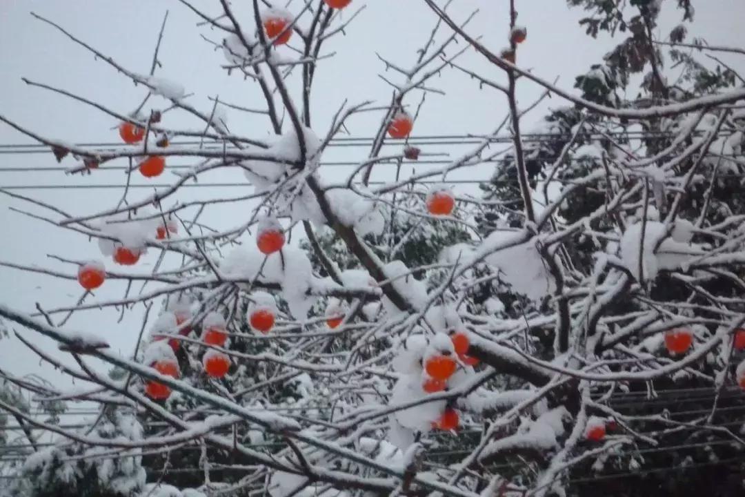 厦门养生知识大全,厦门冬季养生知识大全