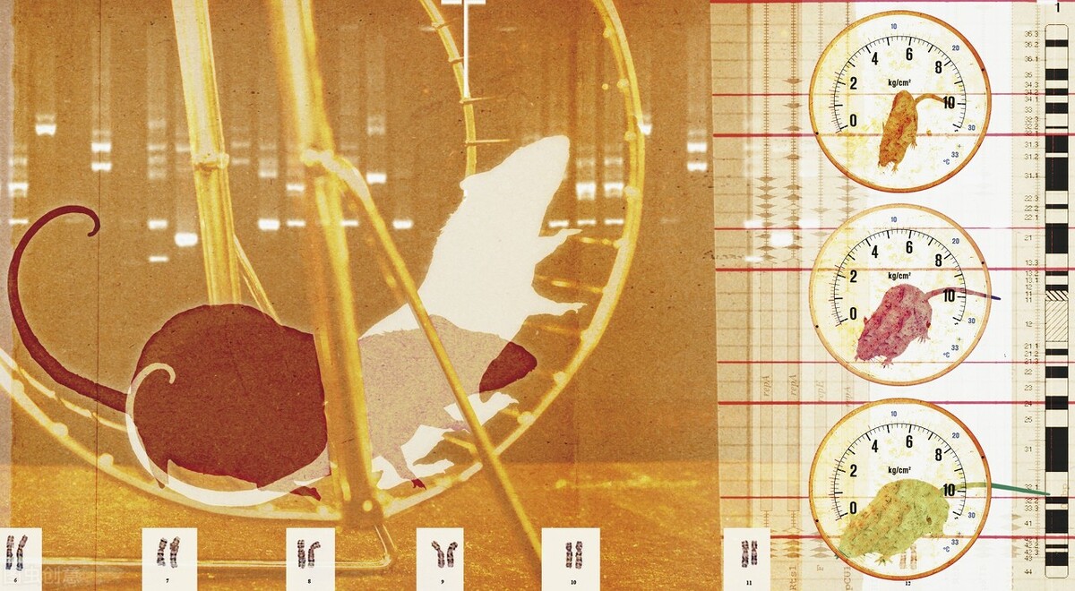 医学奇迹都是人类创造,医学奇迹干细胞