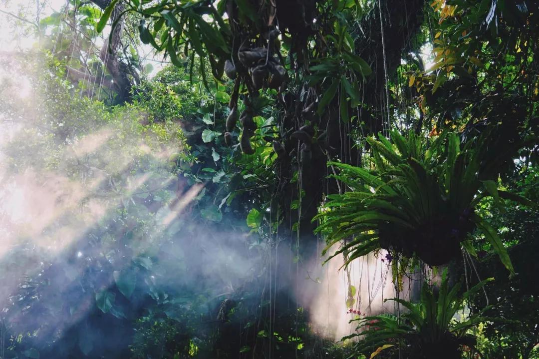 厦门海岸线咖啡网红打卡地地址,厦门观音山网红打卡地