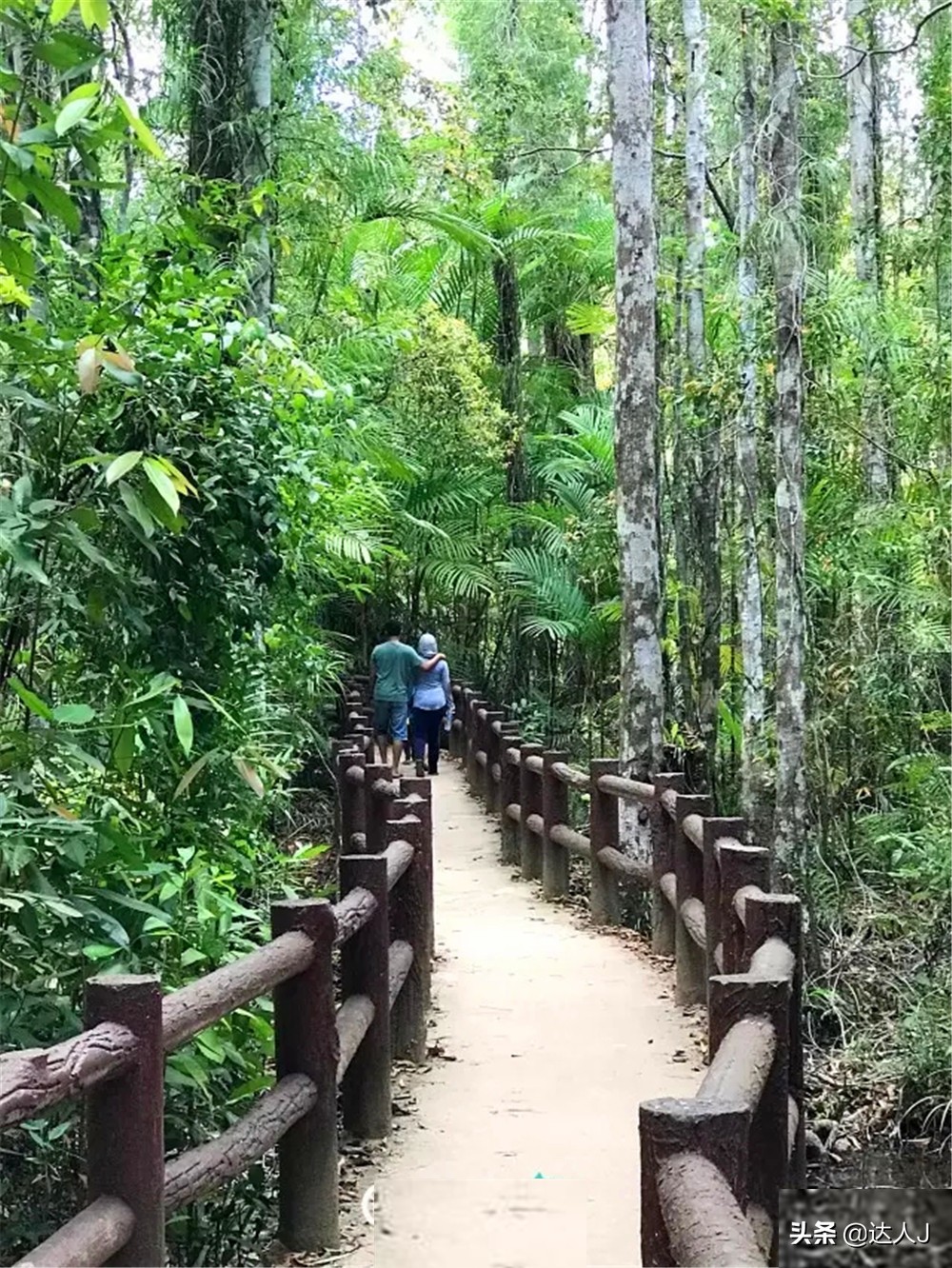 泰国甲米无边泳池,泰国甲米岛泳池