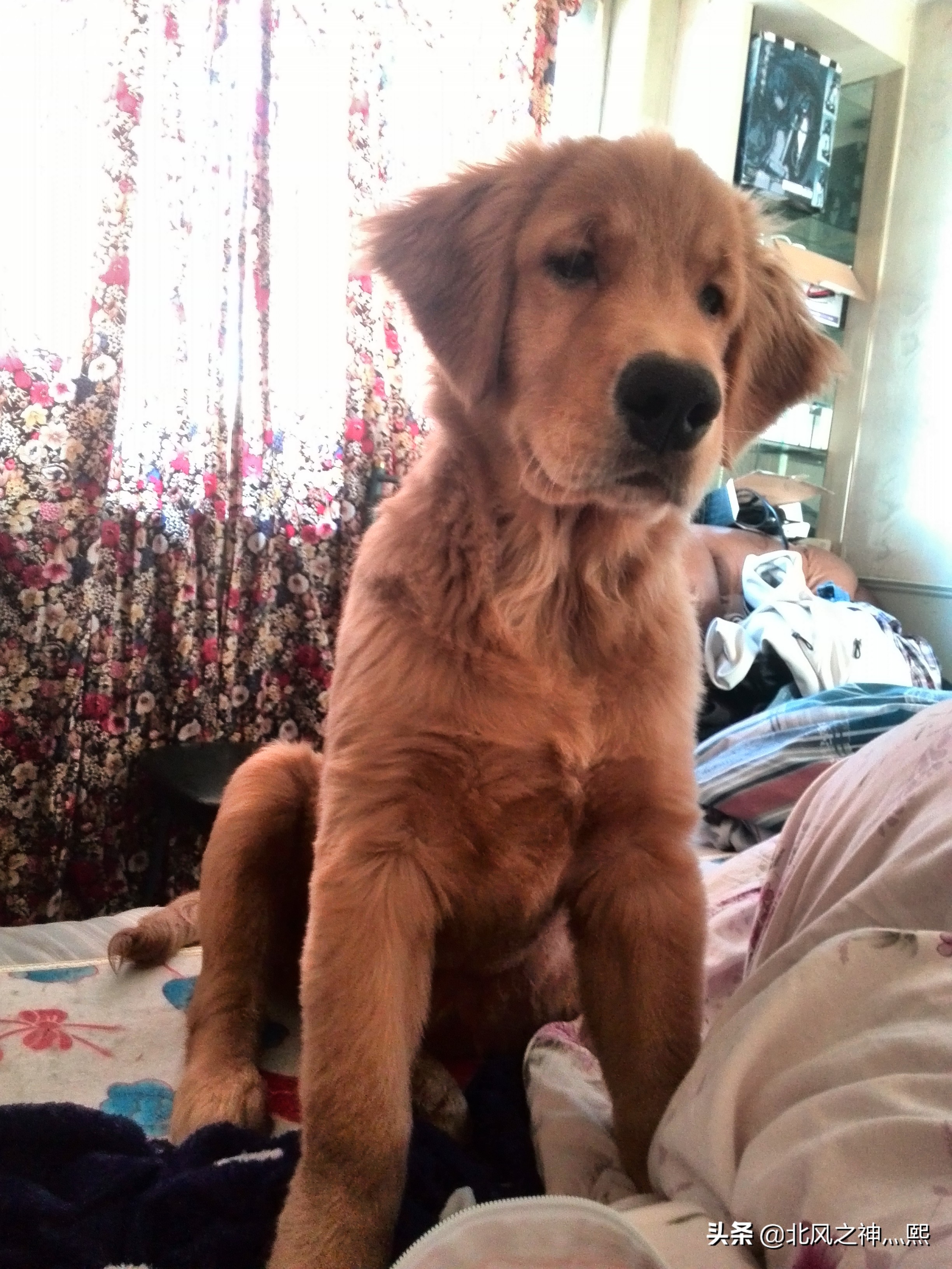 ibm工作10年如何跳槽,入职3年辞职