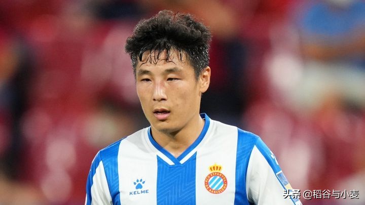 孙兴慜和谢晖,谢晖孙兴慜