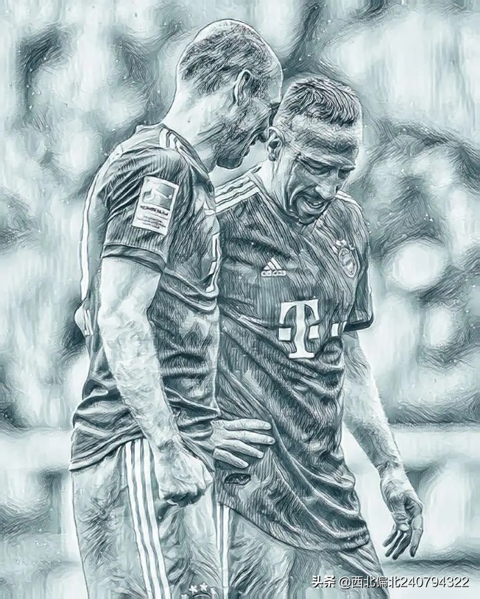 罗本退役足坛评论,罗本退役国家队