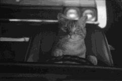 讲真!每个男人体内都住着一位“老司机”