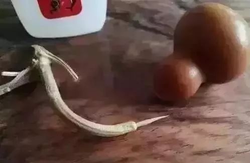 文玩葫芦龙头生虫怎么办,文玩葫芦如何避免损坏龙头