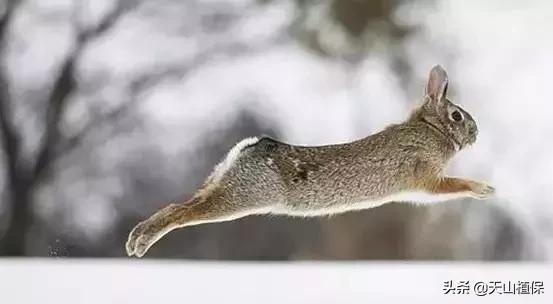 新疆的图木舒克市在什么位置,新疆的图木舒克是在北疆还是南疆