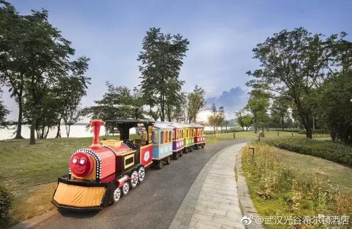 武汉十大高逼格酒店,来武汉旅游住哪个酒店好