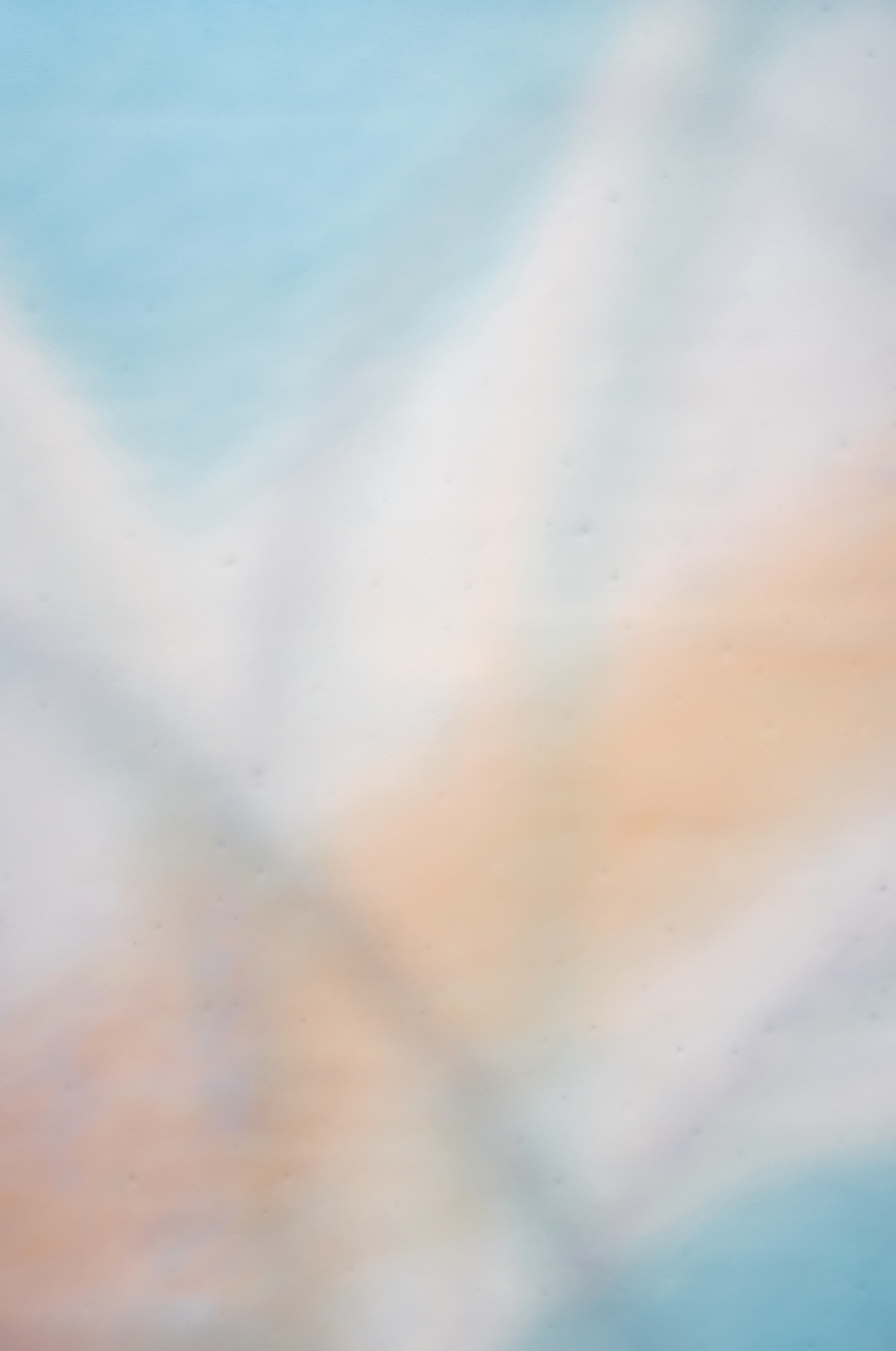 两端之间：万杨的绘画｜艺术栗子