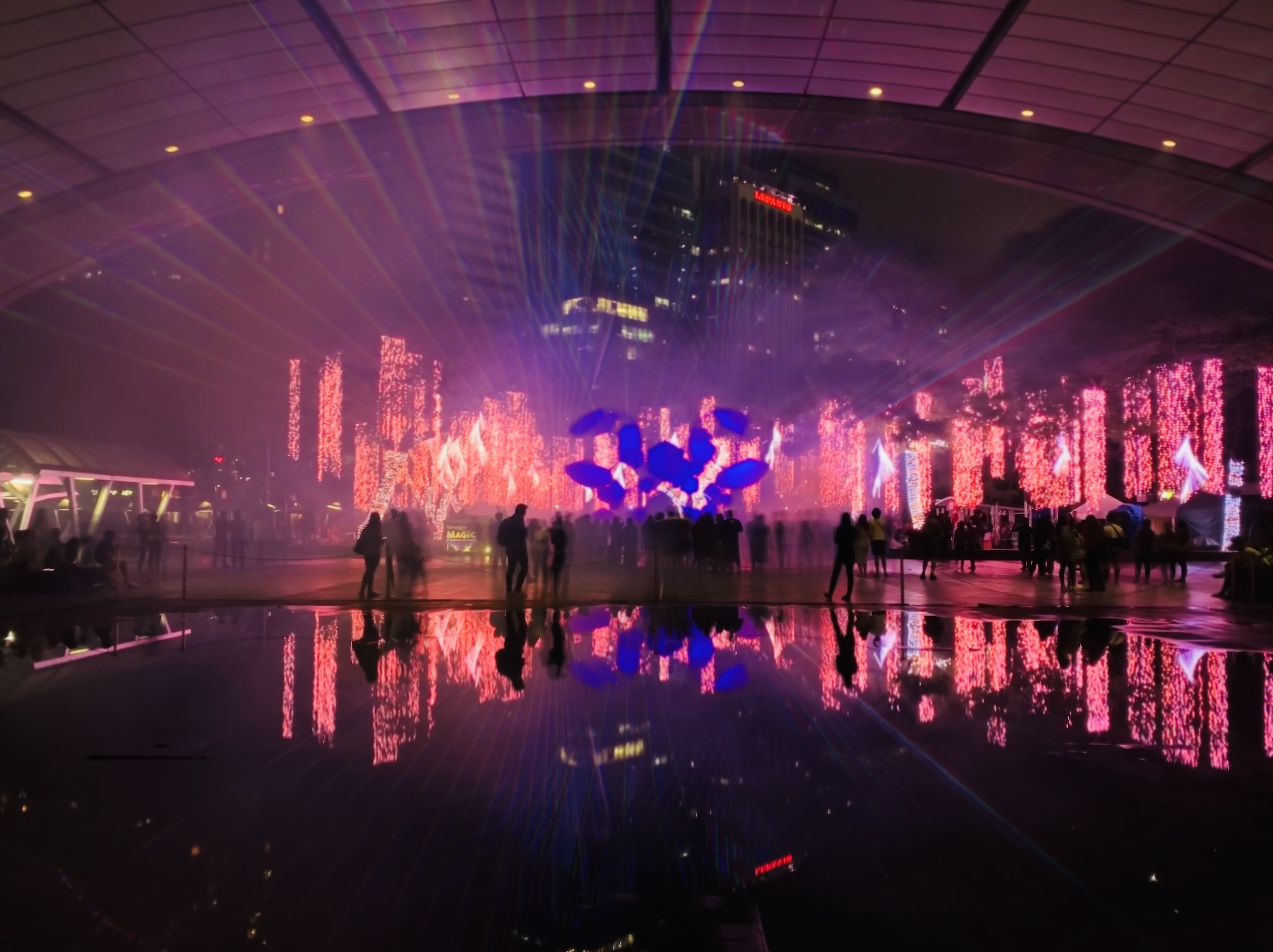 永远难忘的2015年菲律宾之旅,菲律宾之旅19年10月