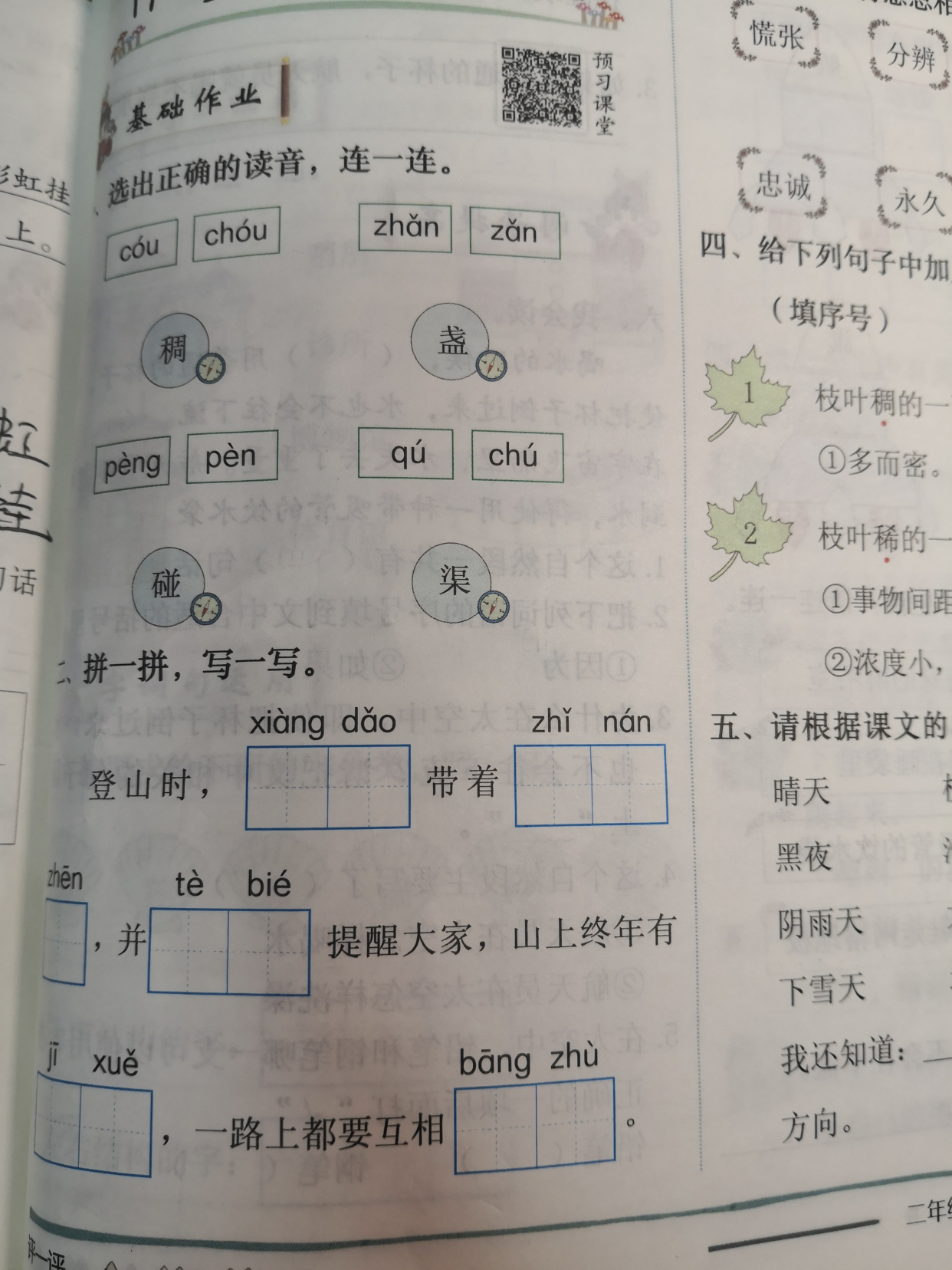 学好17课《要是你在野外迷了路》，知道什么是“天然指南针”