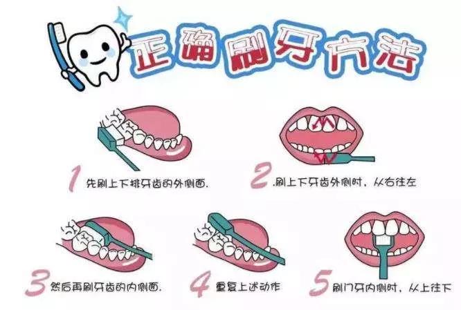 牙龈下移可以恢复么,年纪大牙龈松动怎么办