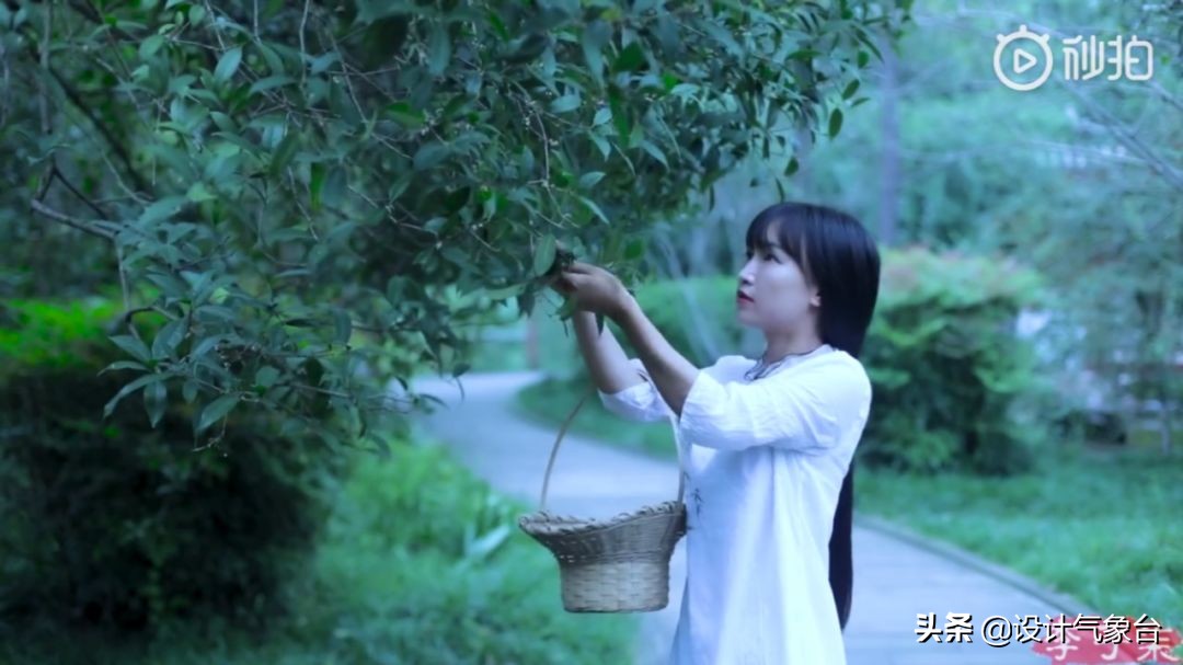 李子柒生活大揭秘,多少人羡慕李子柒的生活