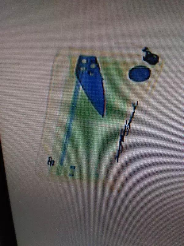 法院司法警察安检常遇问题,法警安检的注意事项